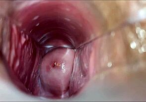 Gay close-up twinks reach orgasm